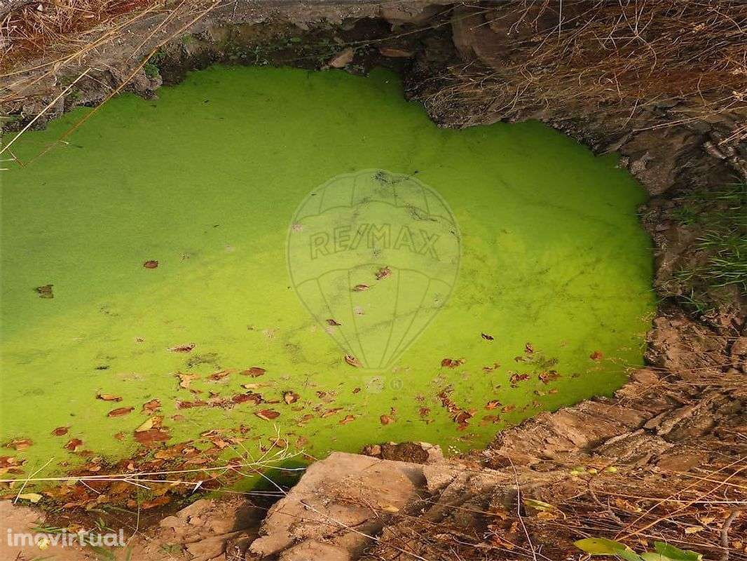 Quinta  para venda - Grande imagem: 3/25