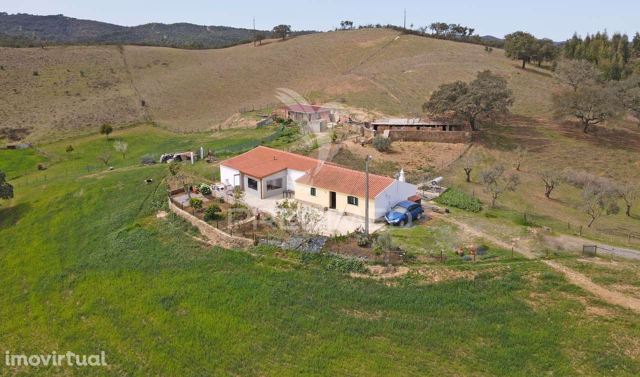 Quinta com 7,500 ha em São Martinho das Amoreiras - Grande imagem: 5/25