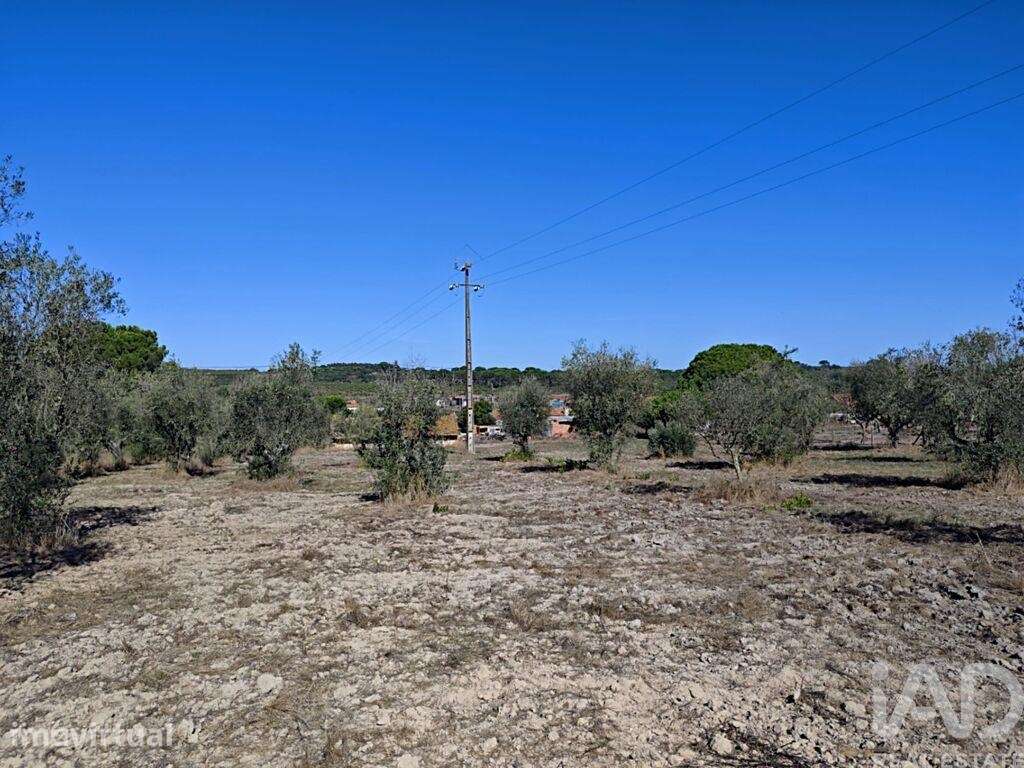 Quinta T4 em Coruche, Fajarda e Erra de 126 m2 - Grande imagem: 4/28