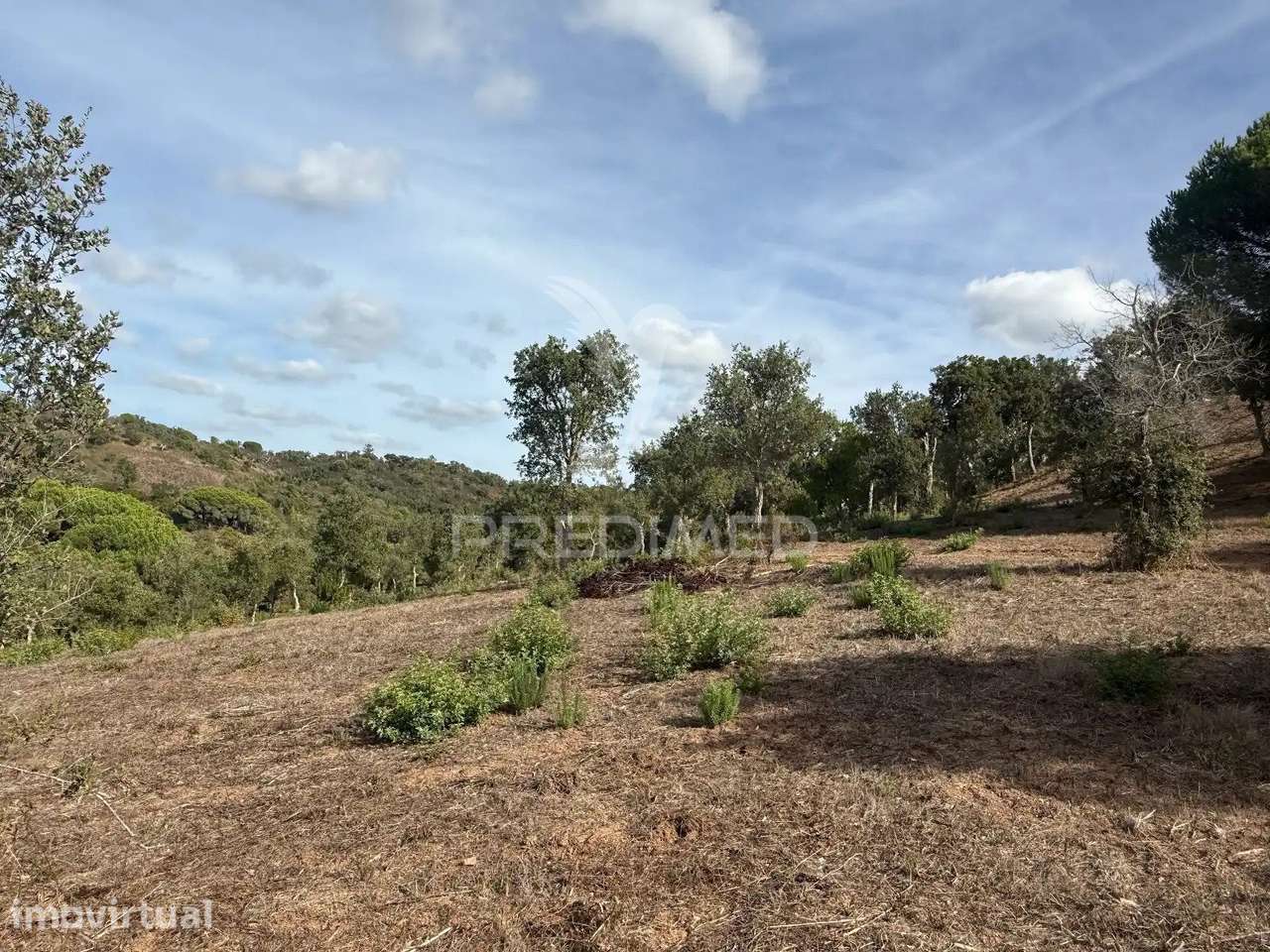 Terreno em Ademas com Vista Mar - Grande imagem: 4/32