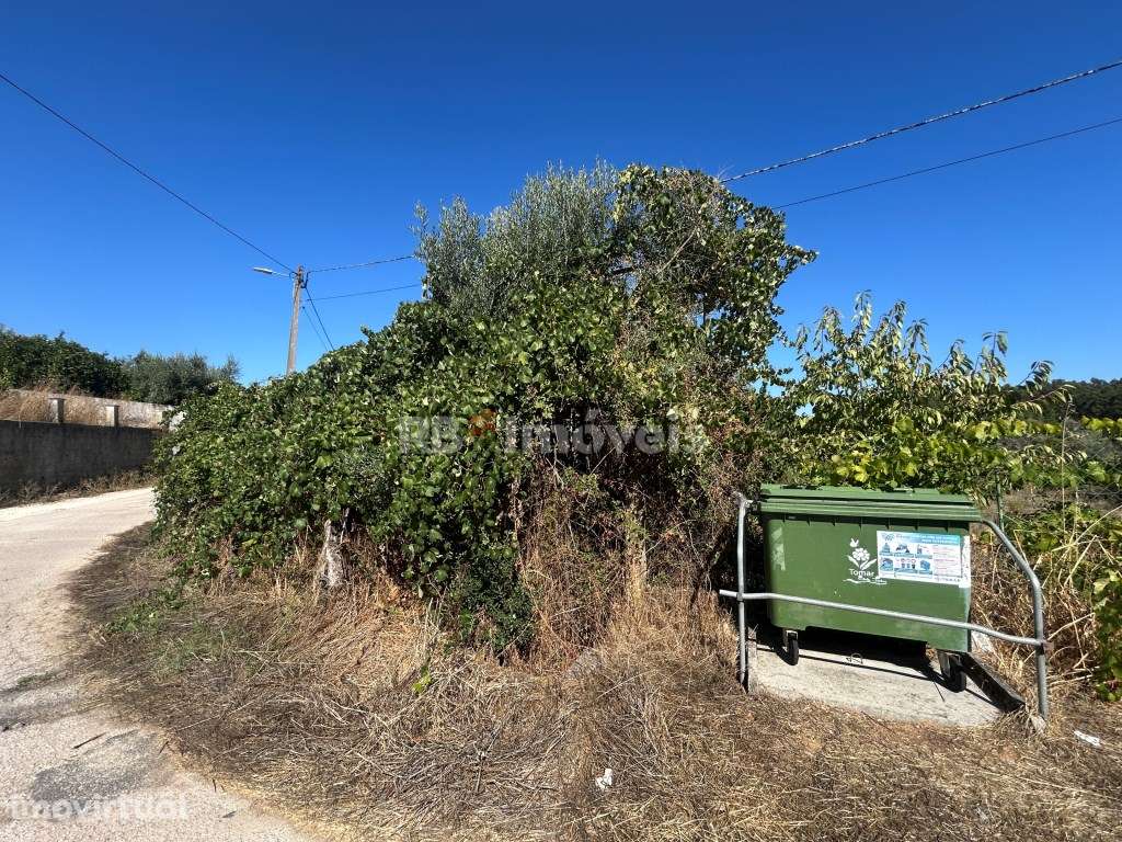 Terreno silvado com nora - Abadia, Serra de Tomar - Grande imagem: 3/12