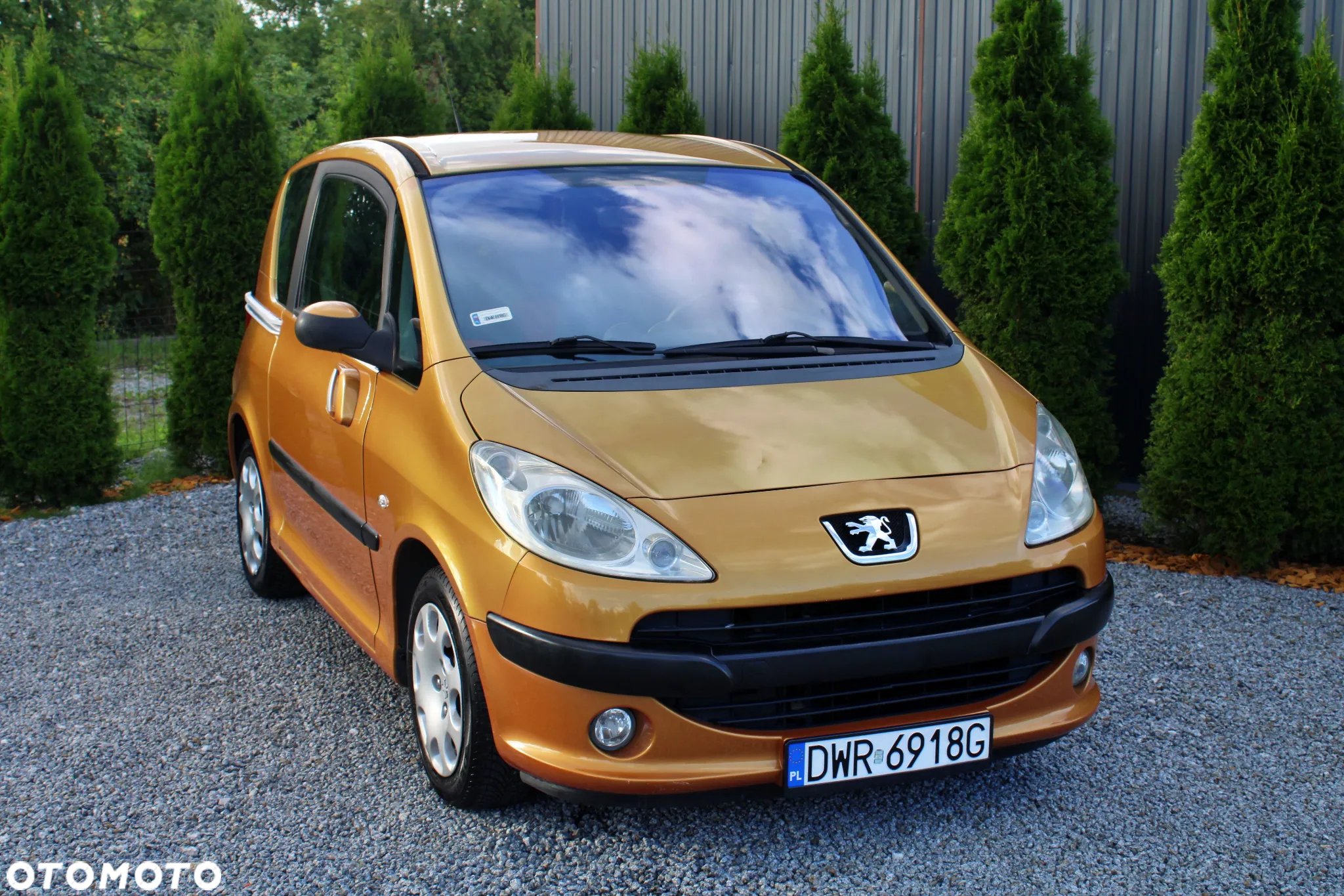 Peugeot 1007 75 Filou - 2