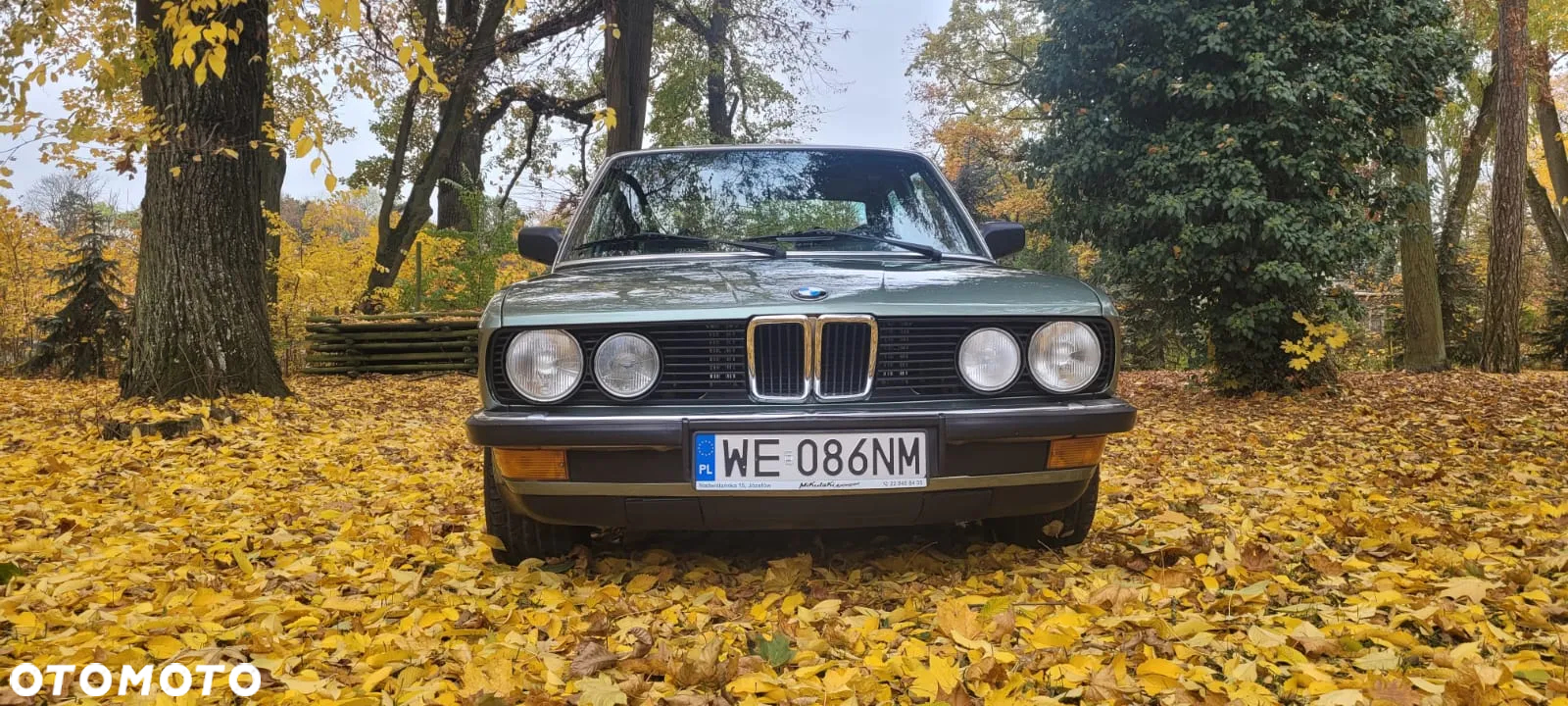 BMW Seria 5 - 19
