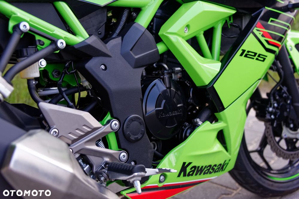 Kawasaki Ninja - 10