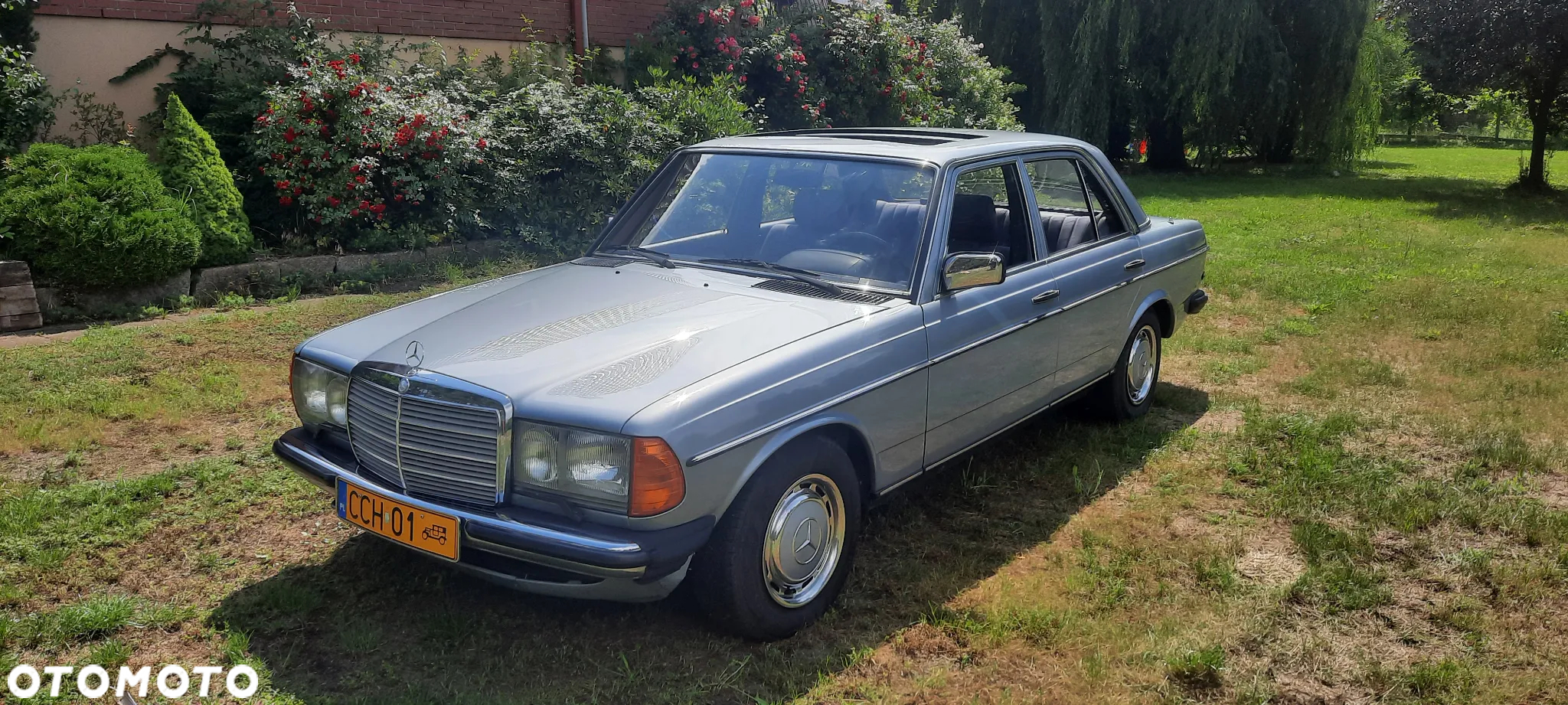 Mercedes-Benz W123 - 5