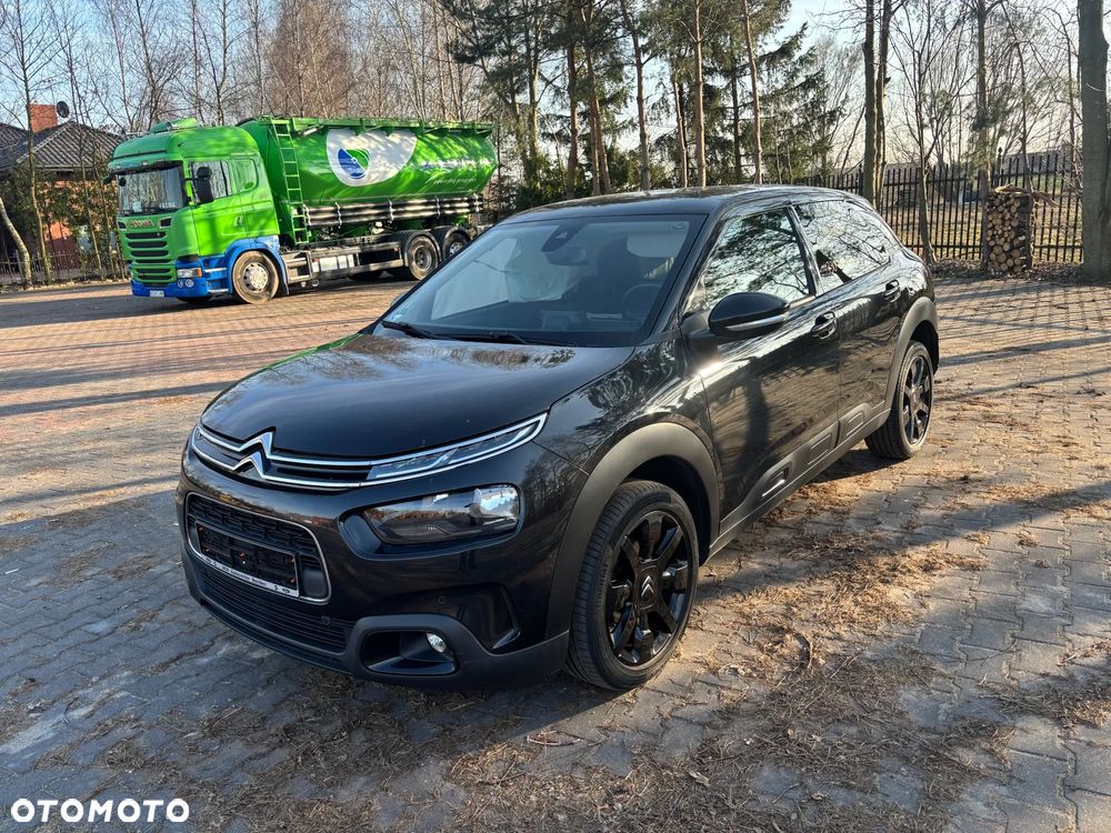 Citroën C4 Cactus PureTech 110 Stop&Start Origins - 13