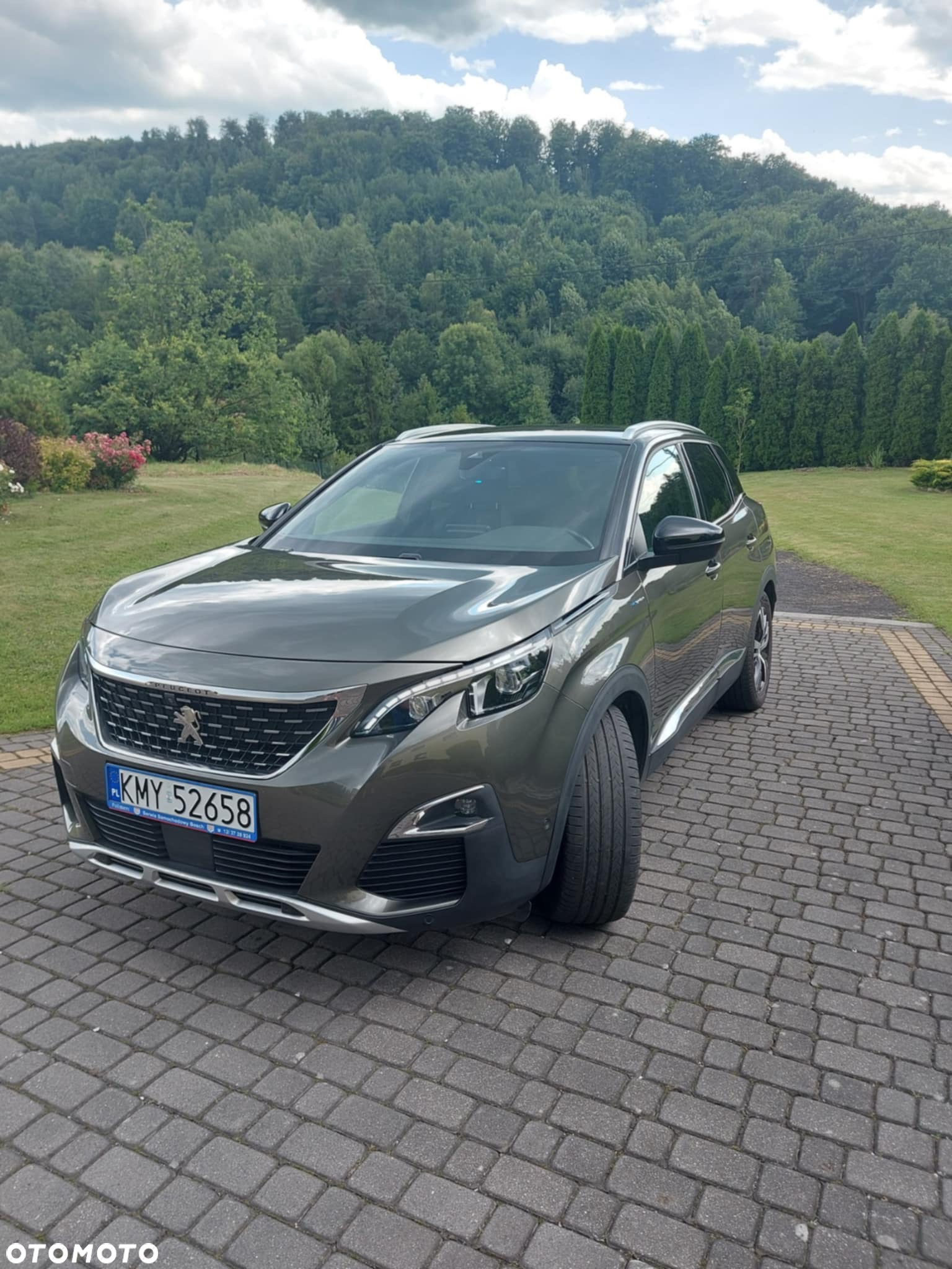 Peugeot 3008 - 17