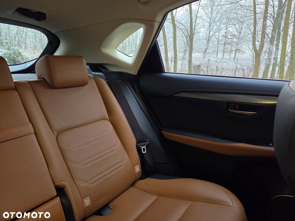 Lexus NX 300 Comfort AWD - 14