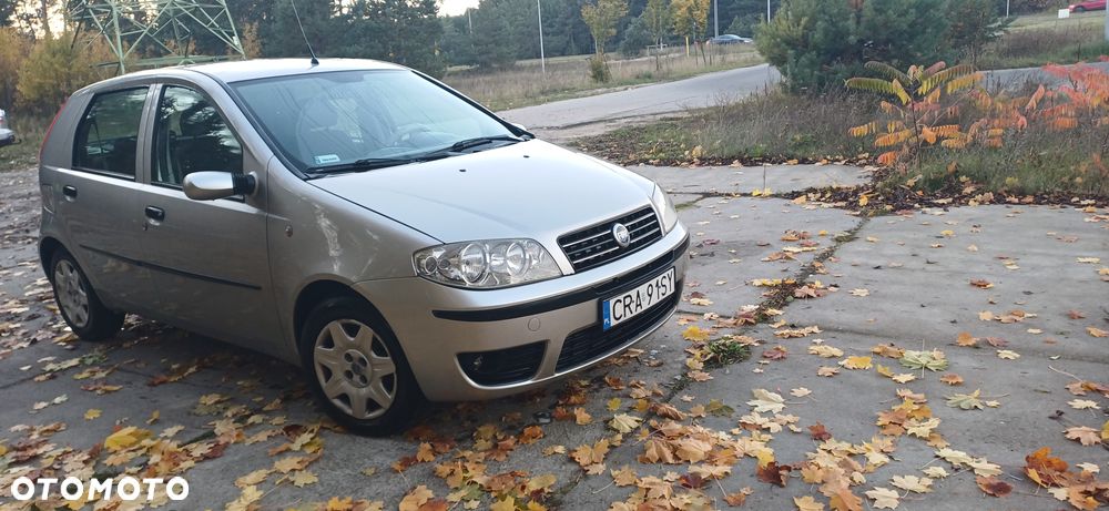 Fiat Punto - 28