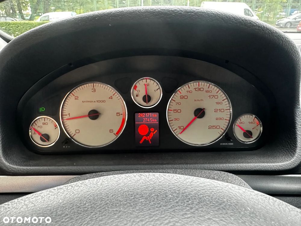Peugeot 407 - 16