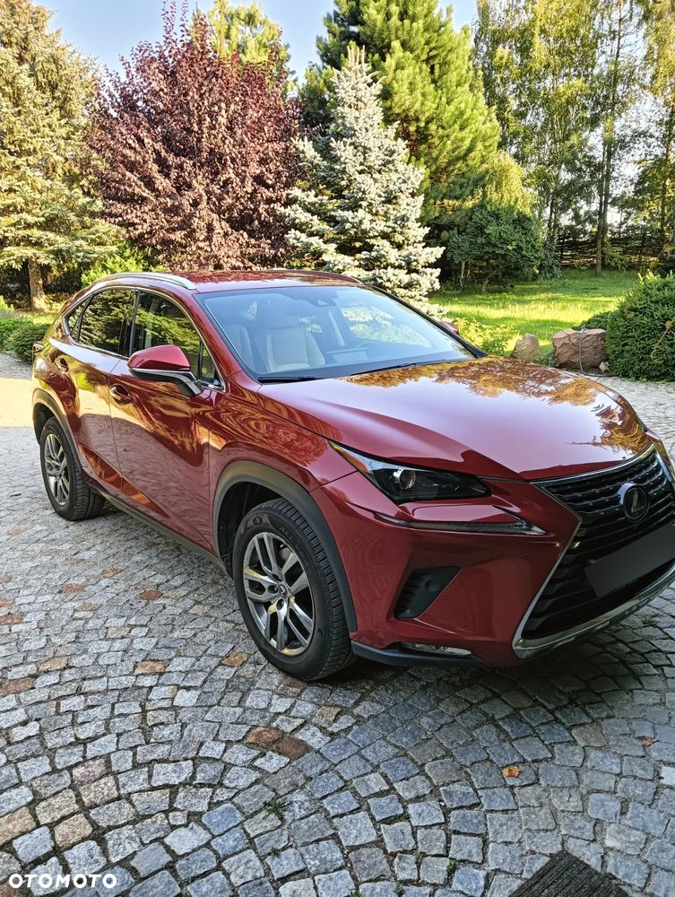 Lexus NX ver-300h-business-edition-awd - 10