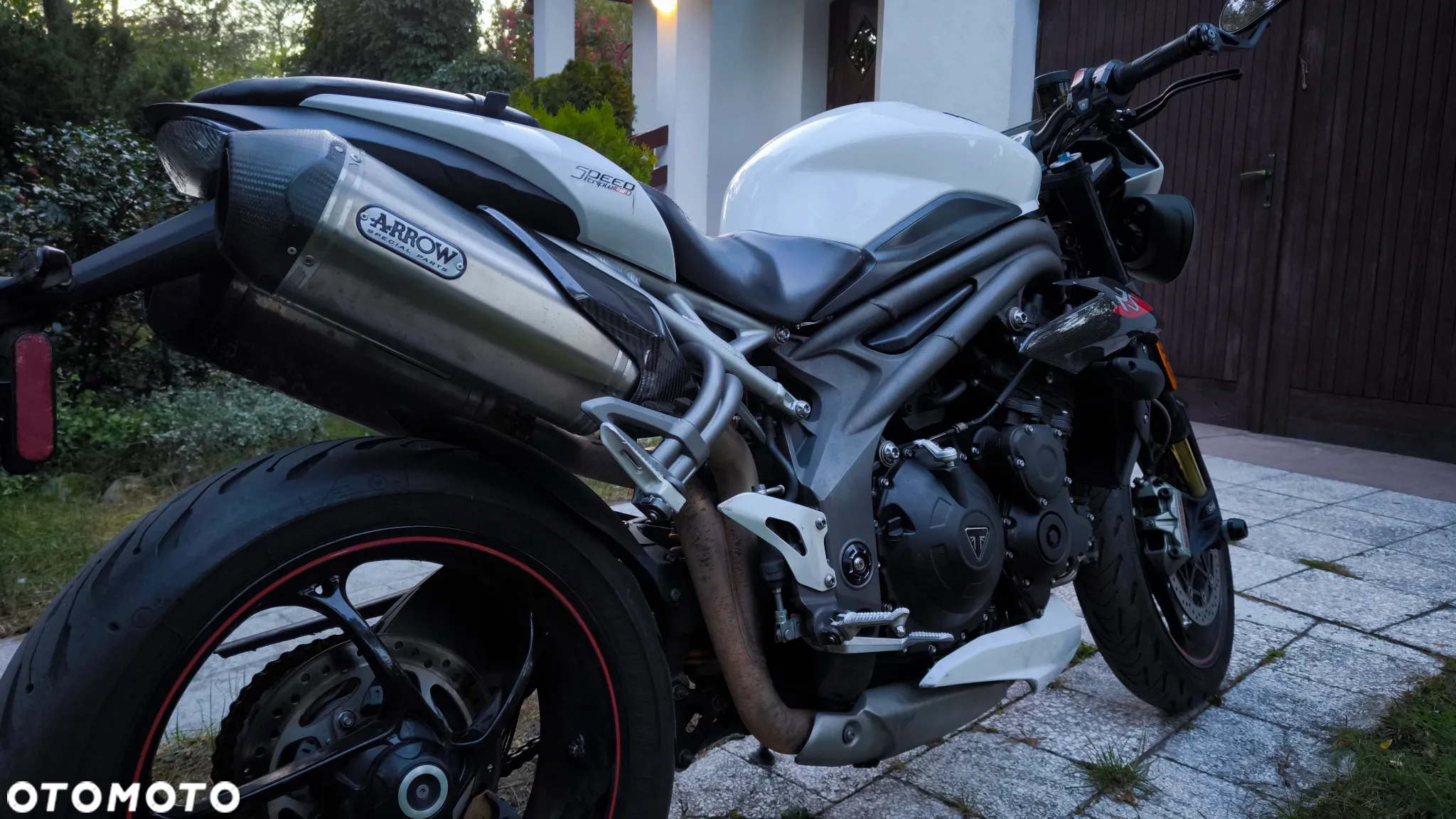 Triumph Speed Triple - 9