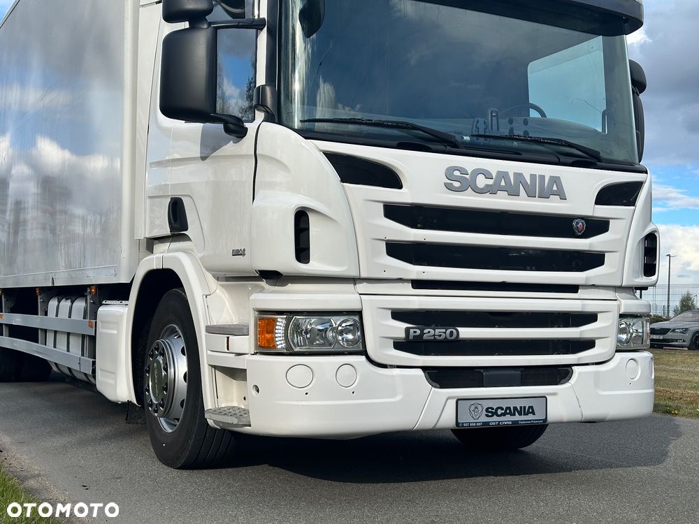 Scania P250 euro6 kontener 8.2 dzienna automat winda - 10