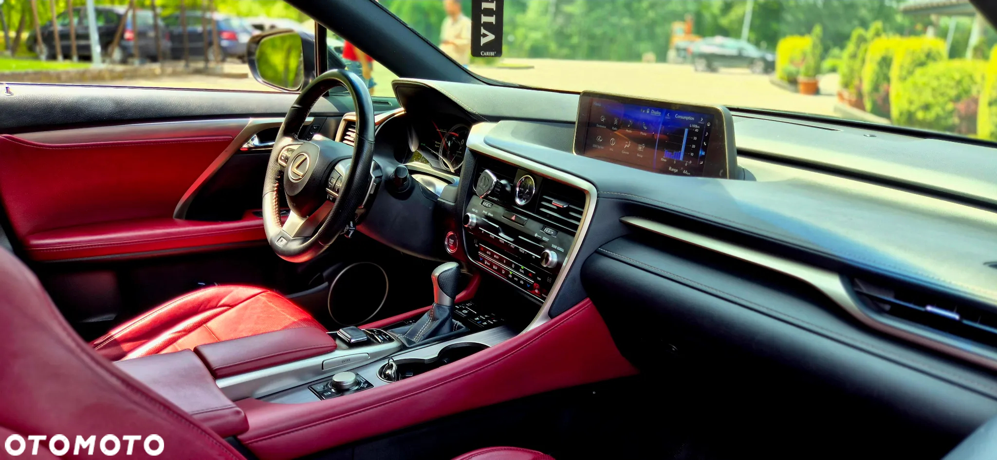 Lexus RX 300 AWD F Sport - 7