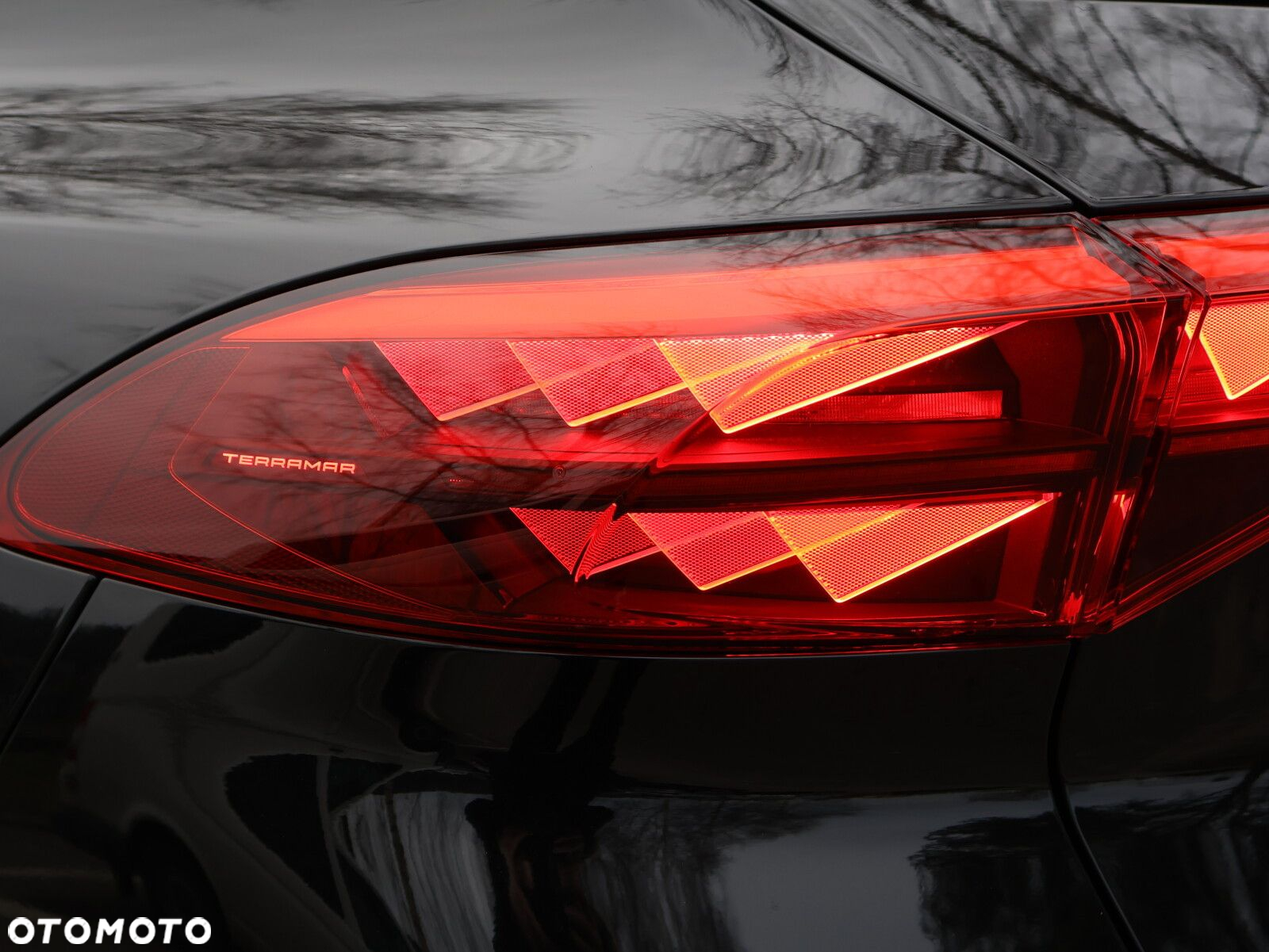 Cupra Terramar 1.5 eTSI mHEV DSG - 9