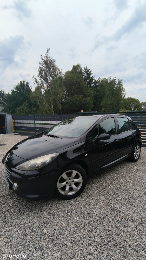 Peugeot 307 2.0 Sporty - 3