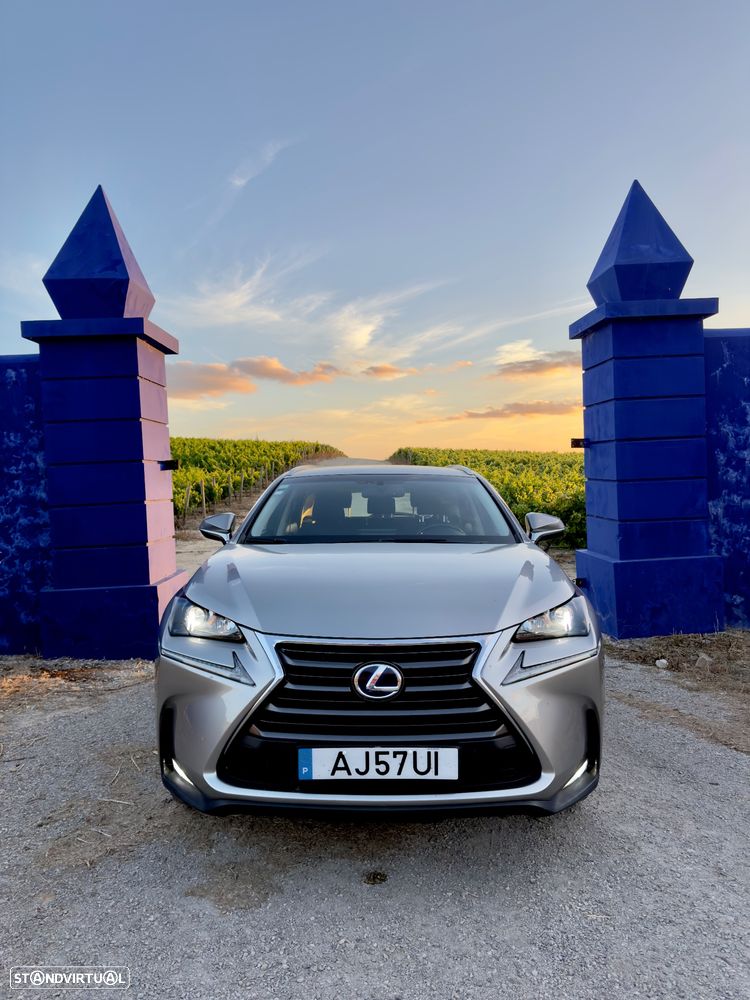 Lexus NX 300h - 1