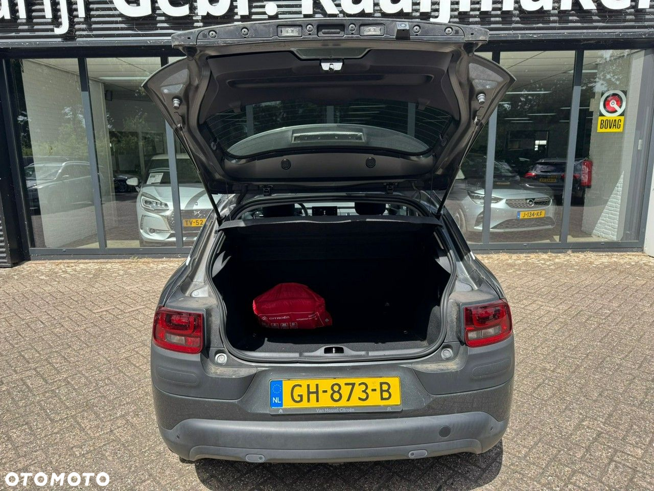 Citroën C4 Cactus - 10