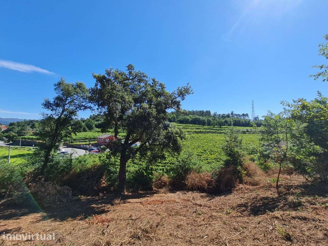Vende-se 8000m2 de terreno com área de construção para moradia - Grande imagem: 4/5