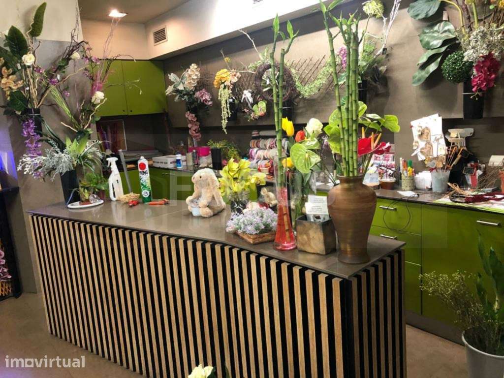 Loja de Animais / Florista / Decoração - Trespasse - Grande imagem: 3/16