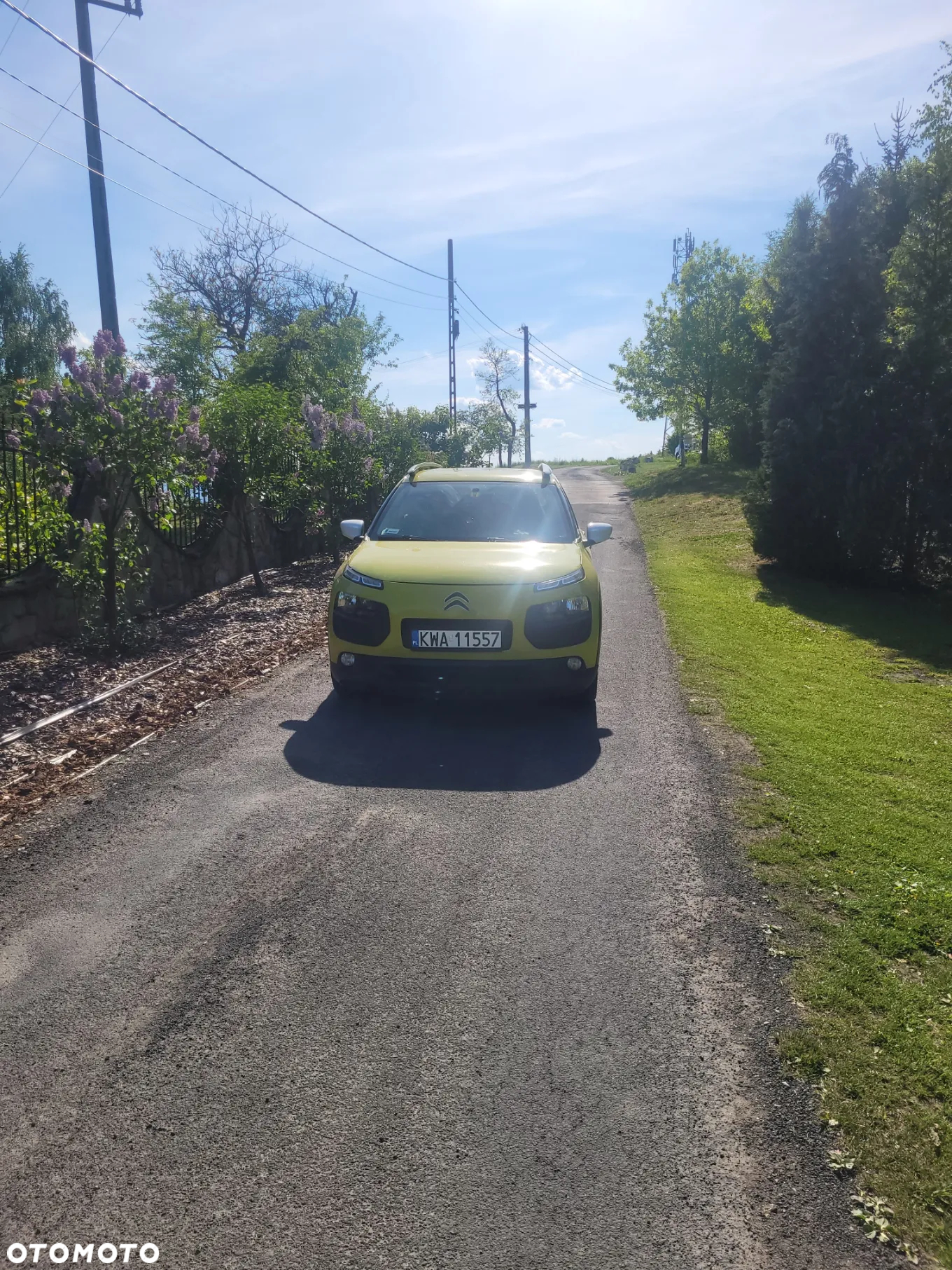 Citroën C4 Cactus 1.2 PureTech Feel Edition - 5