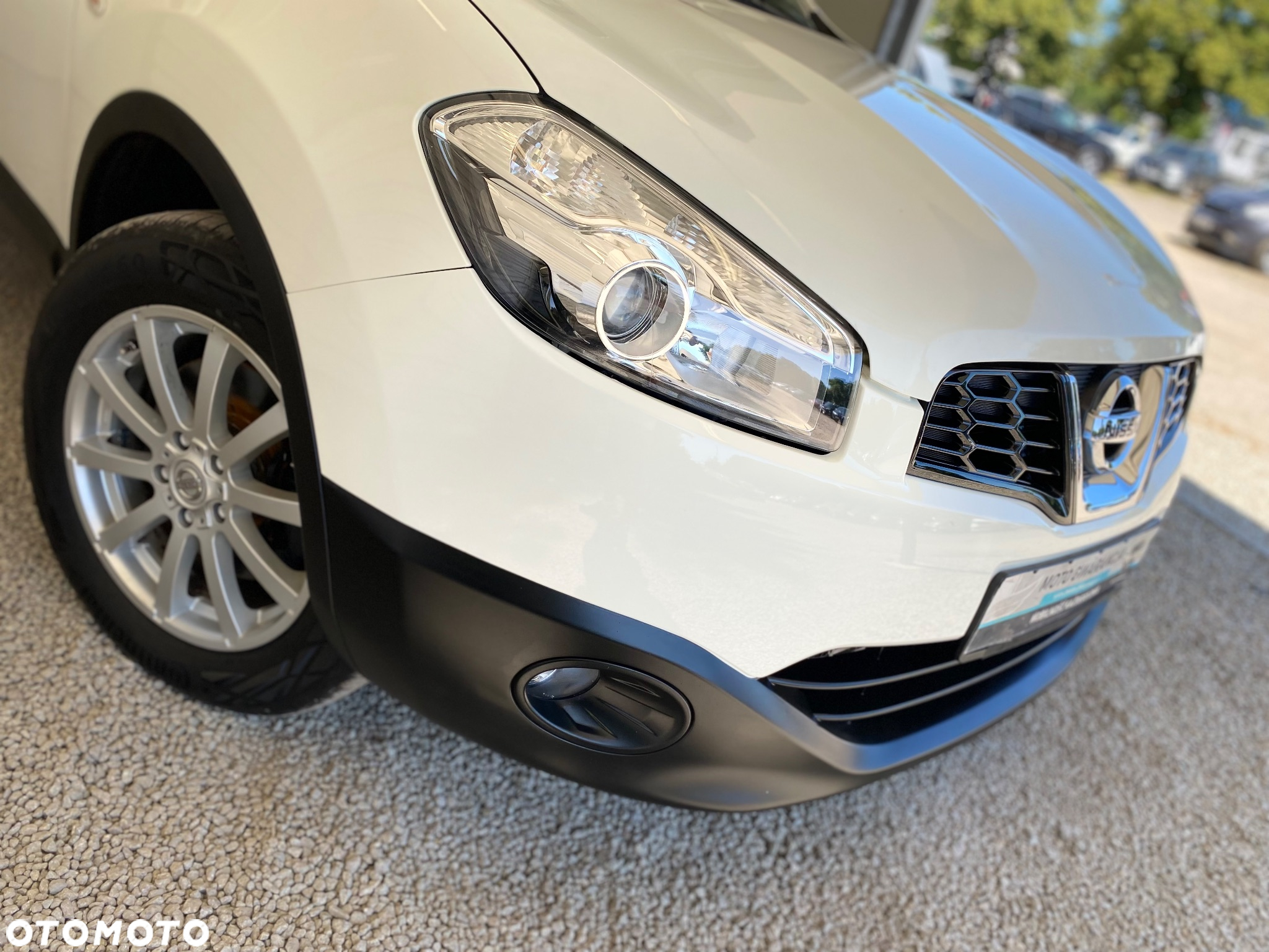 Nissan Qashqai 1.6 dCi 4x4 Tekna - 19