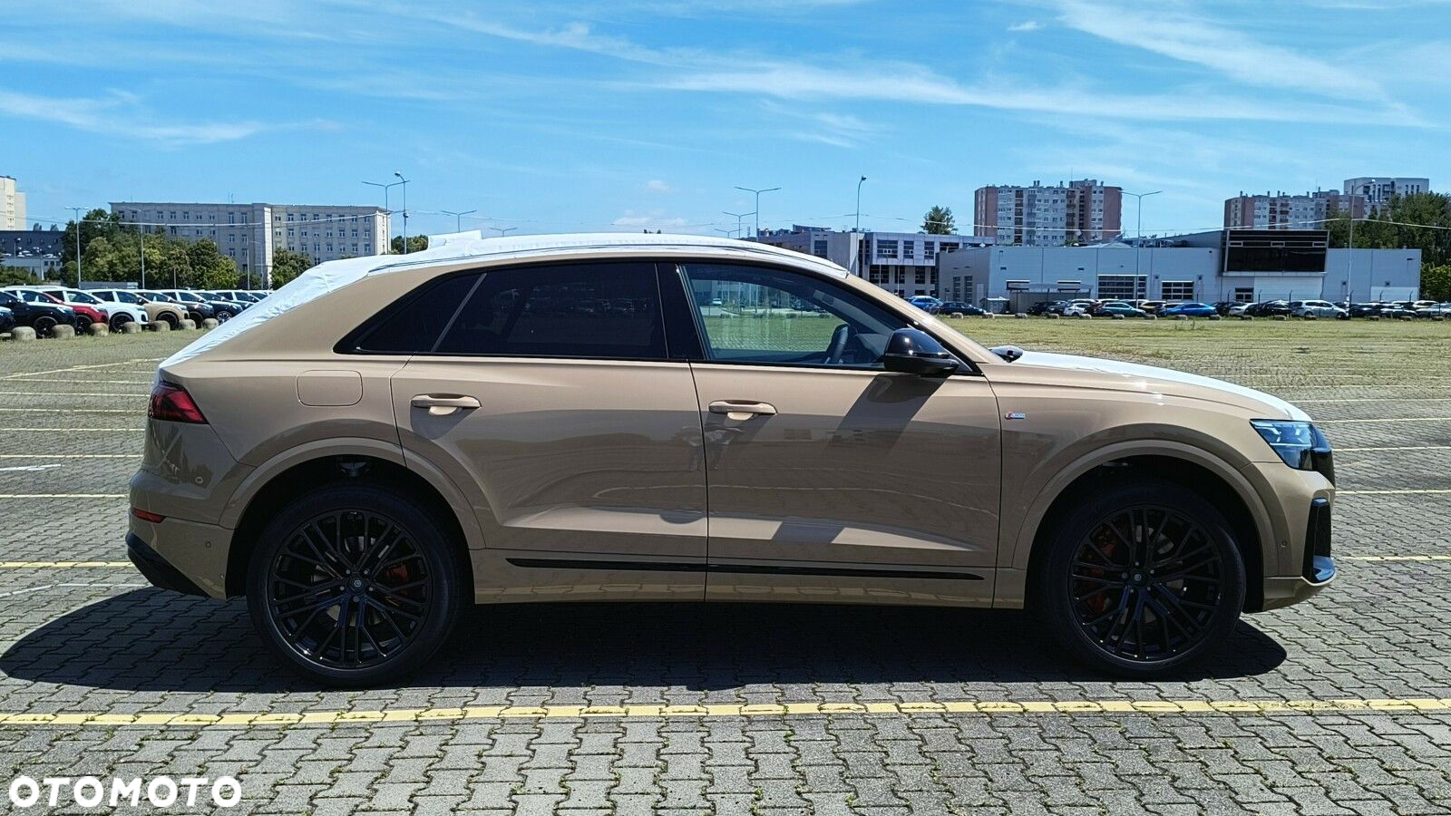 Audi Q8 - 13