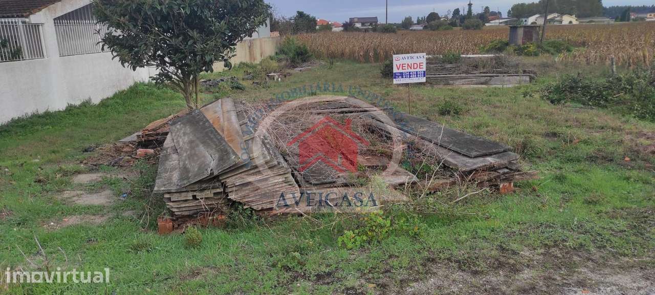 TERRENO COM 20m DE FRENTE PARA MORADIA - Grande imagem: 5/5