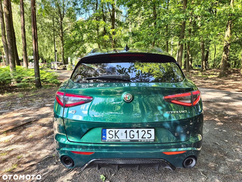 Alfa Romeo Stelvio 2.0 Turbo Tributo Italiano Q4 - 3