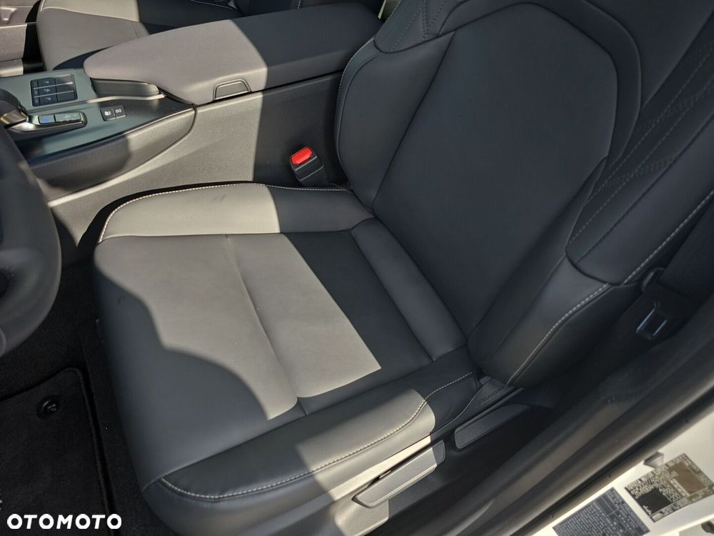 Lexus UX 300h F Sport Design - 12