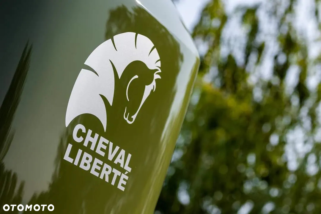 Cheval Liberte Gold III - 18
