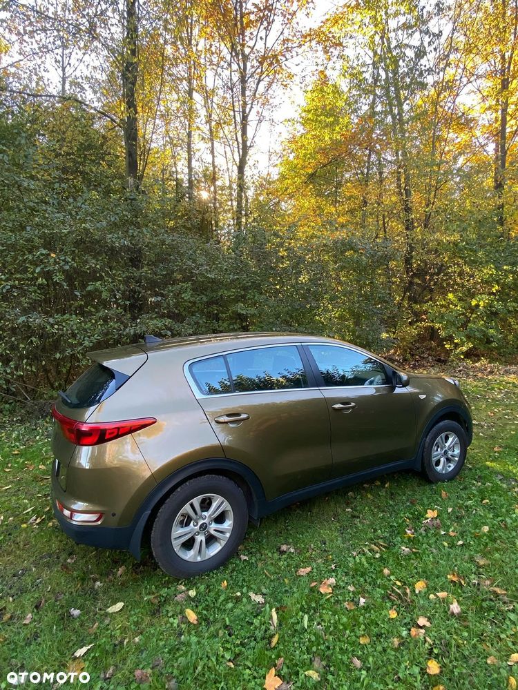 Kia Sportage 1.6 GDI M 2WD - 11