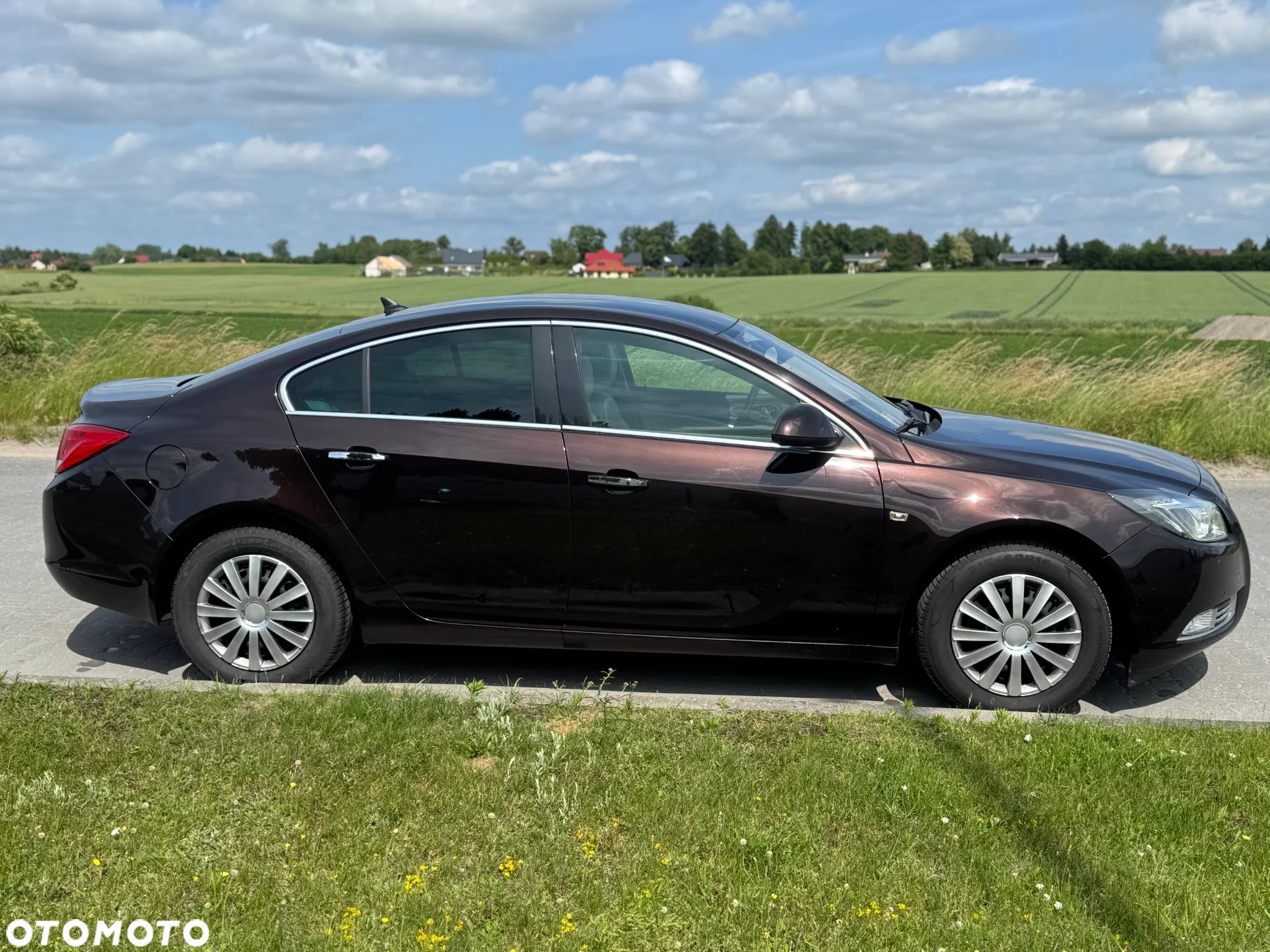 Opel Insignia 2.0 CDTI ecoFLEX Cosmo - 8