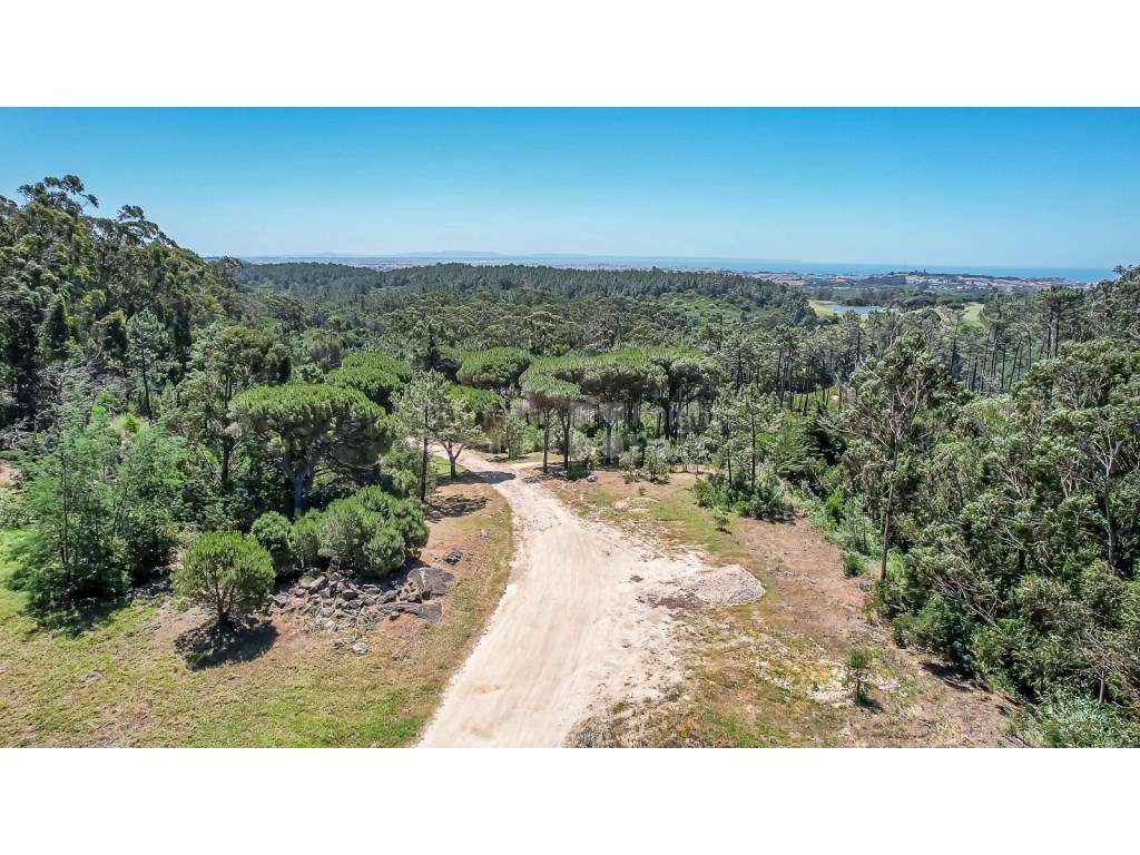 Terreno com 31.480 m2 junto à Estrada da Lagoa Azul, Penha Longa - Grande imagem: 5/32