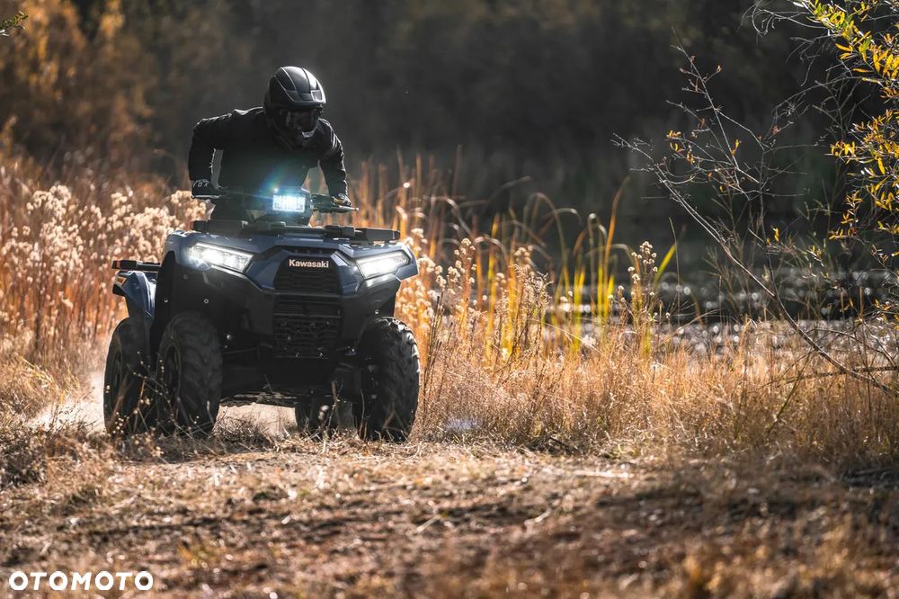 Kawasaki Brute Force - 12