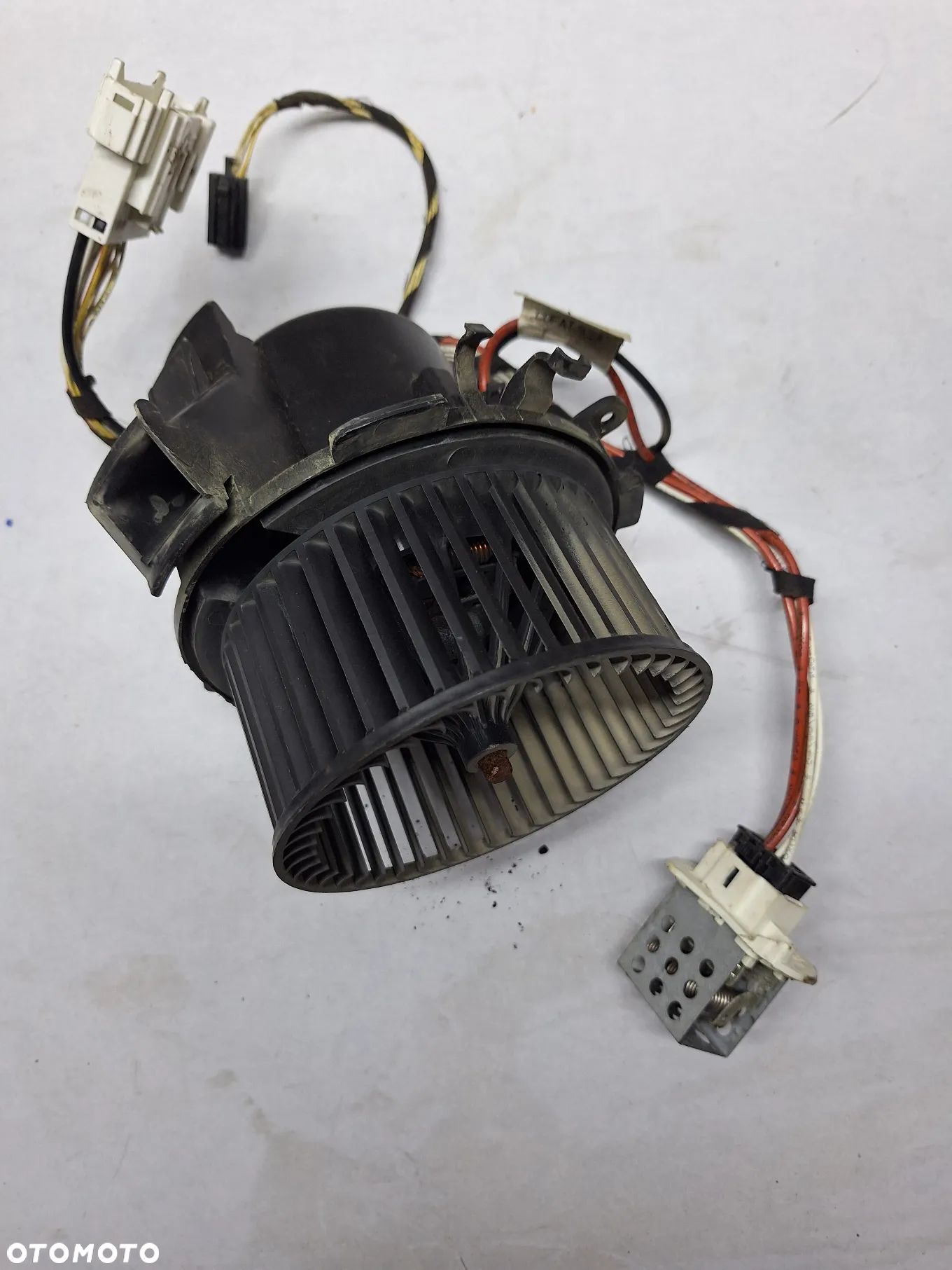 DMUCHAWA WENTYLATOR MASTER MOVANO 03-10r EUR - 1