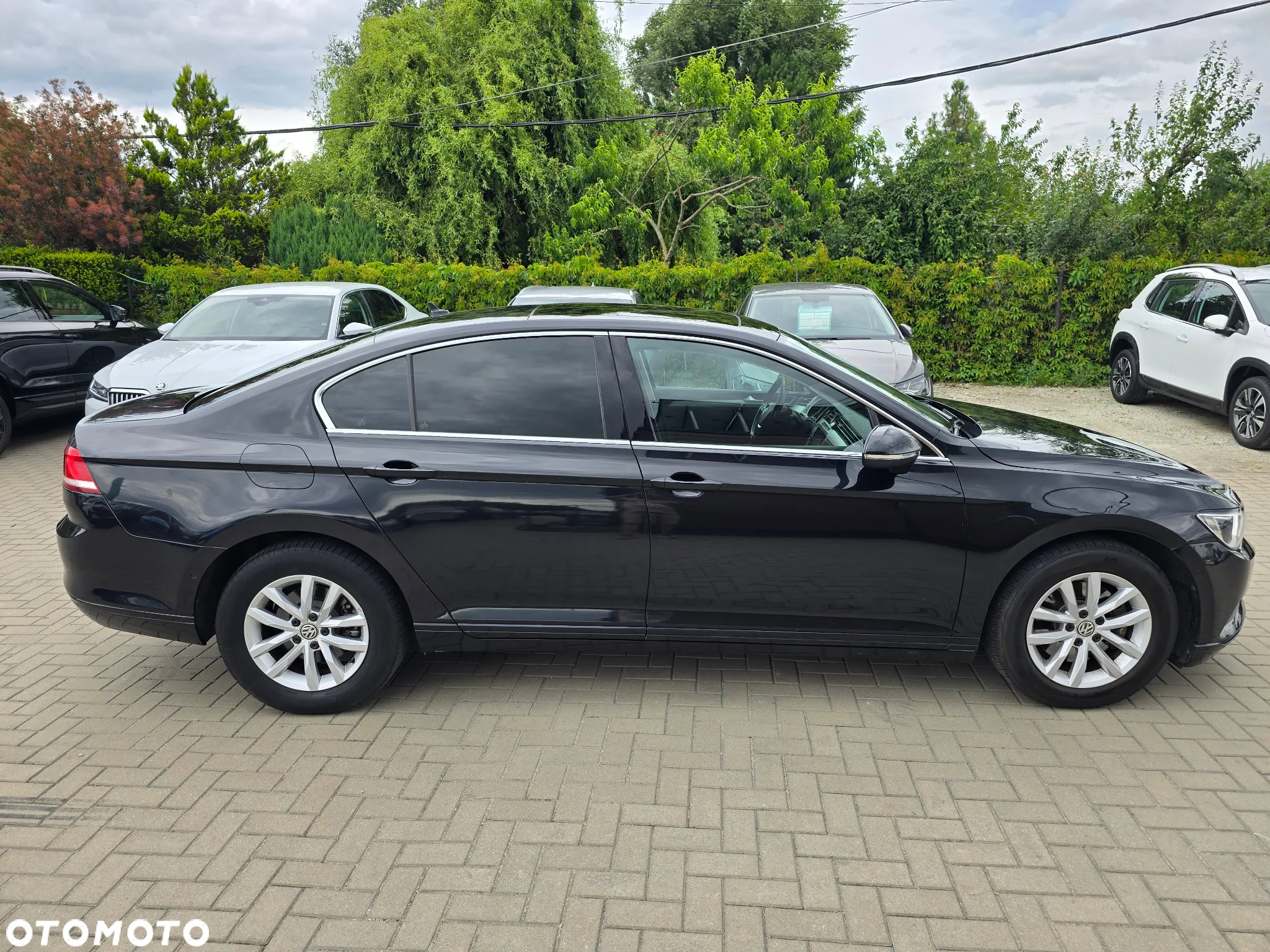 Volkswagen Passat - 3