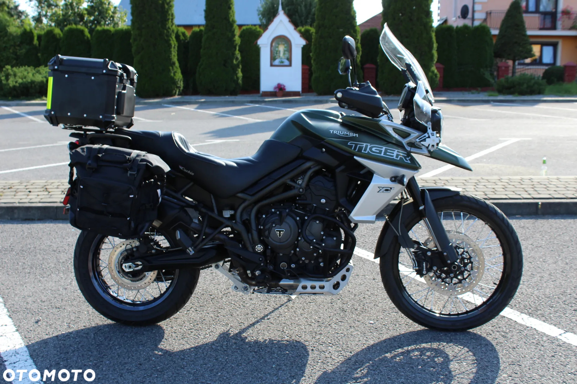 Triumph Tiger - 17
