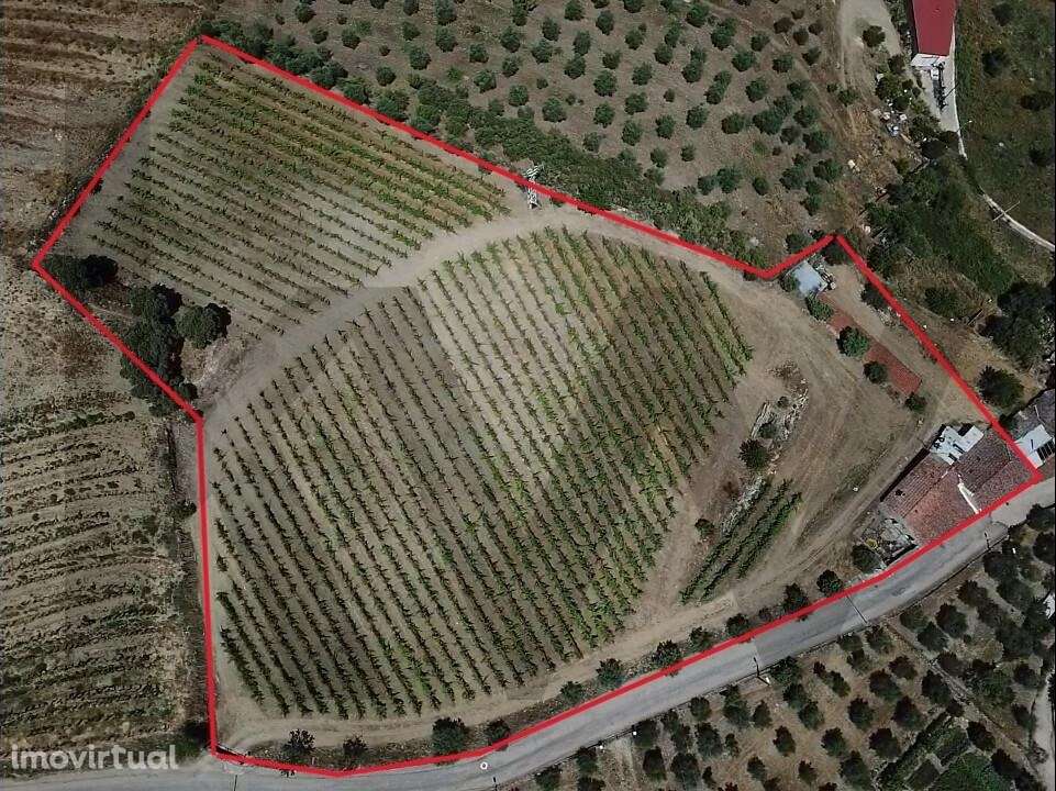 Venda Quinta/Herdade de 280m2,Para recuperar em São João da Pesqueira, - Grande imagem: 3/27