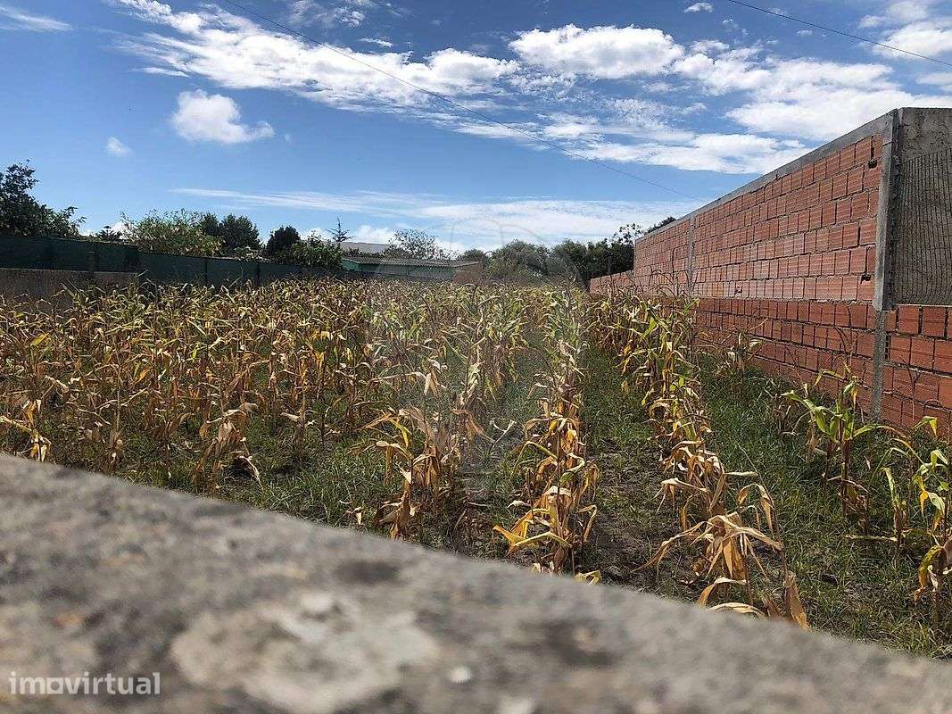 Terreno  para venda - Grande imagem: 5/13