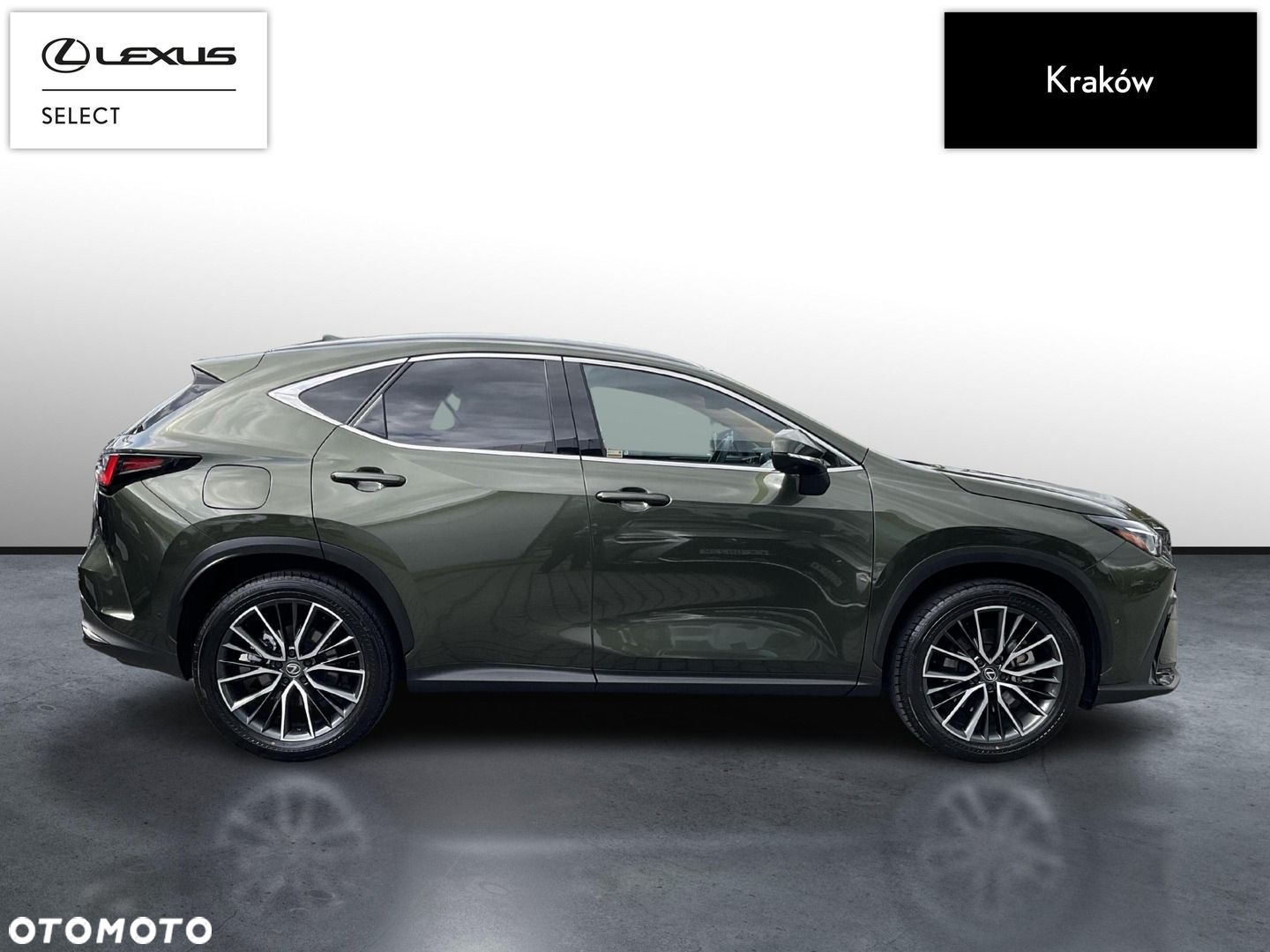 Lexus NX - 6