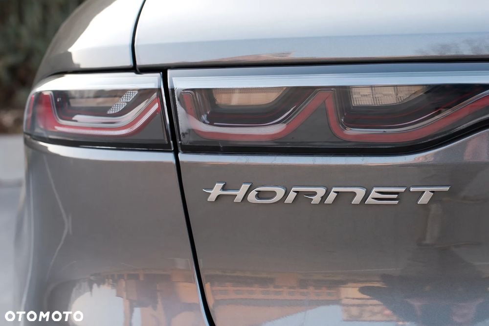 Dodge Hornet - 23