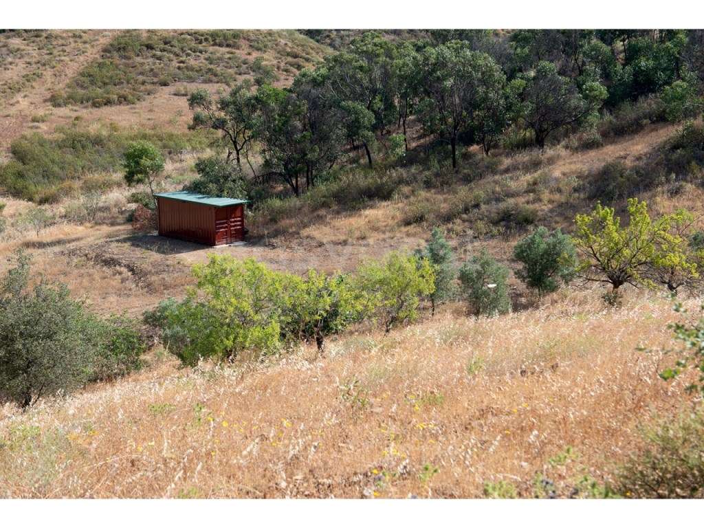 Terreno rustico 5,58 ha Vale Frio, Castro Marim - Grande imagem: 3/43