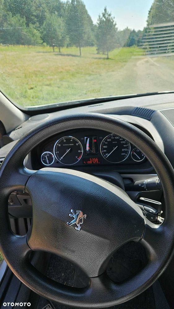 Peugeot 407 - 5