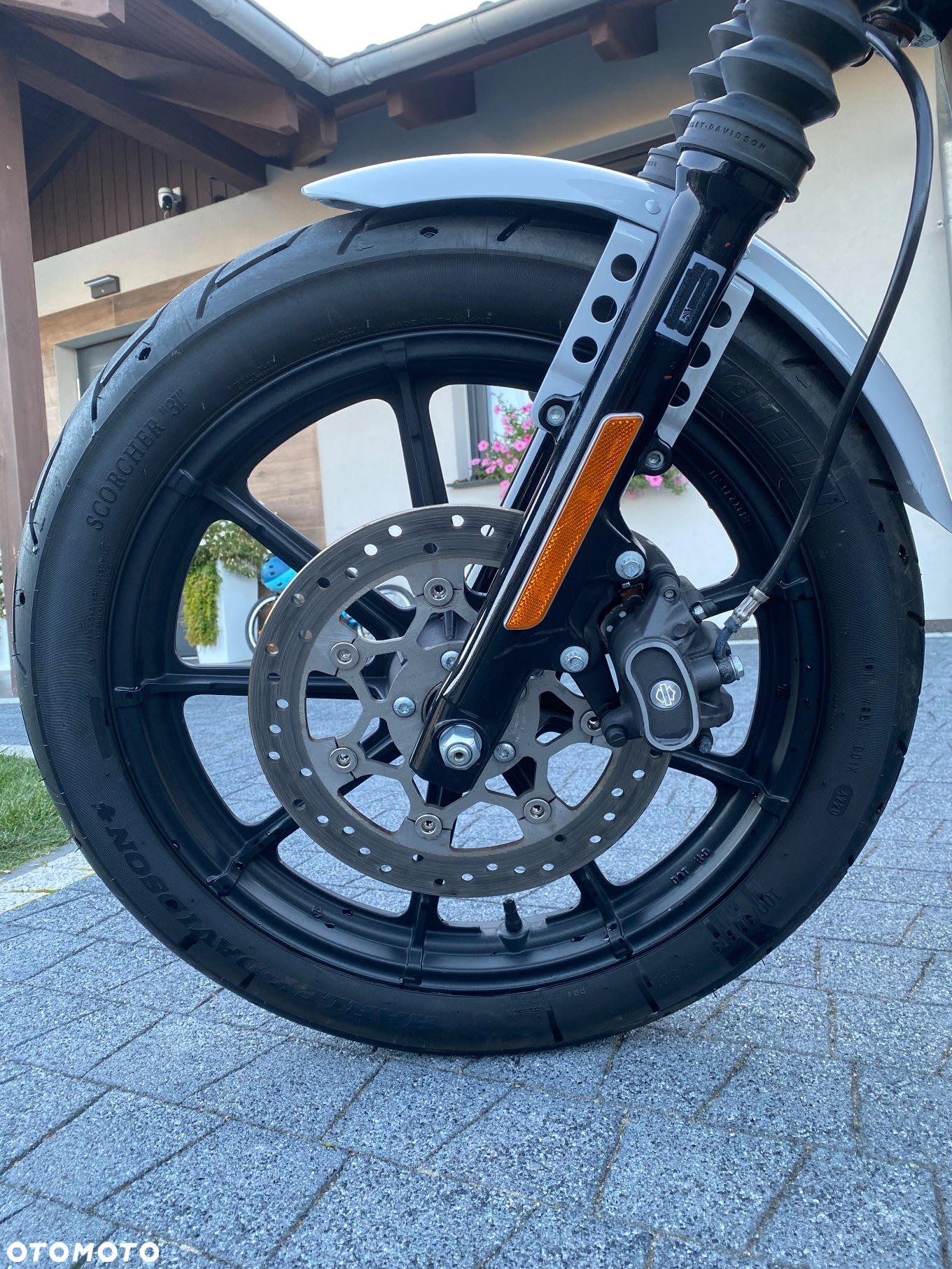 Harley-Davidson Sportster Iron 1200 - 10