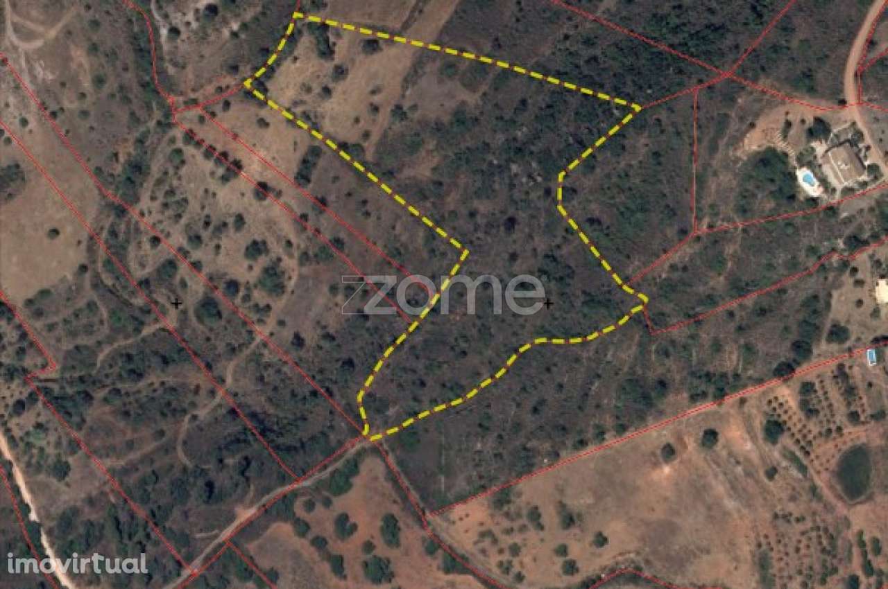 Terreno rústico c/poço em Gralheira com 21.760m2, Messines - Grande imagem: 2/13