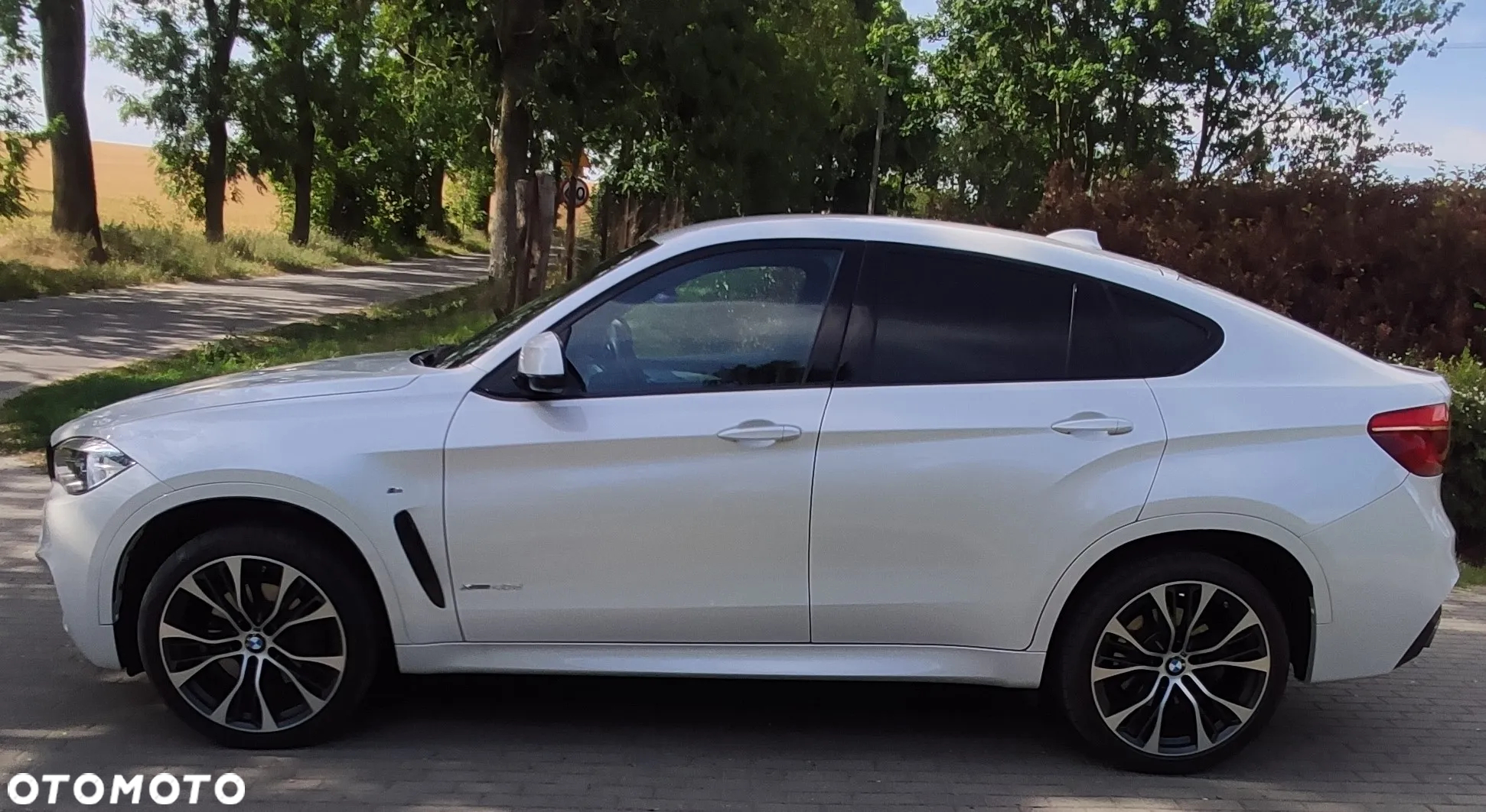 BMW X6 xDrive40d - 6