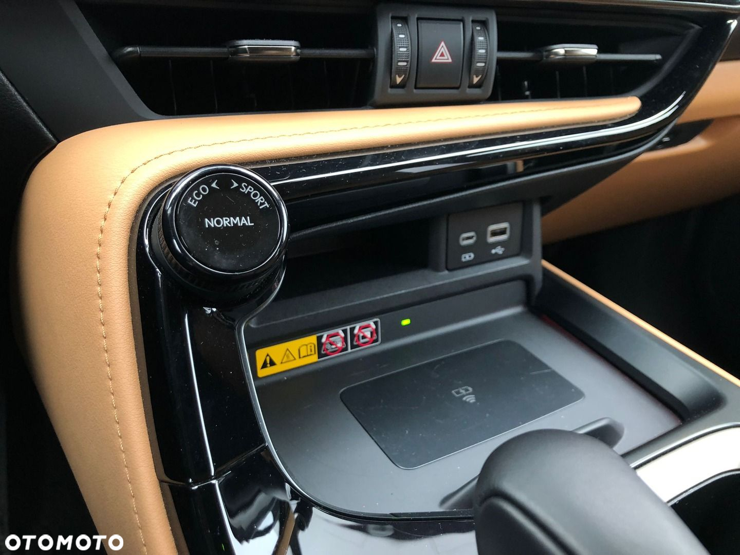 Lexus NX - 31