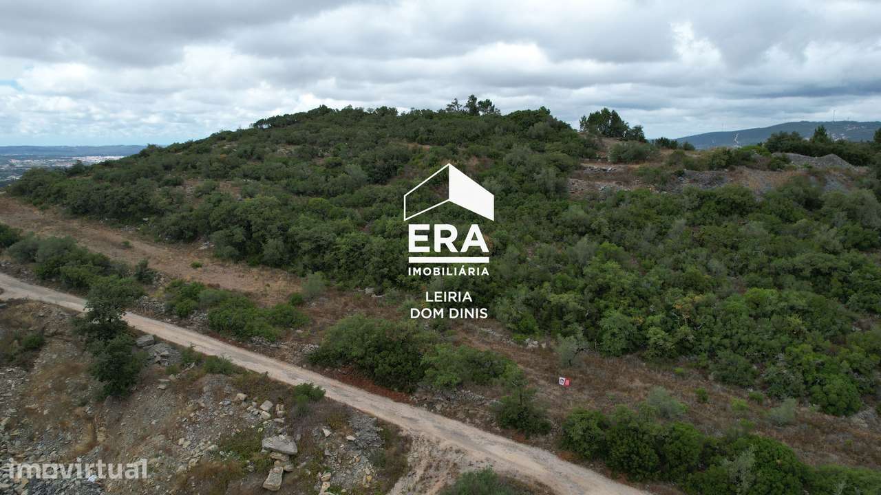 Terreno Rústico em Porto de Mós - Grande imagem: 4/14