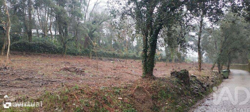 Terreno em Fornelo e Vairão - Grande imagem: 5/26